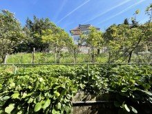 Garten Nordseite Relenberg - 4 Familienhaus in bevorzugter Halbh�henlage