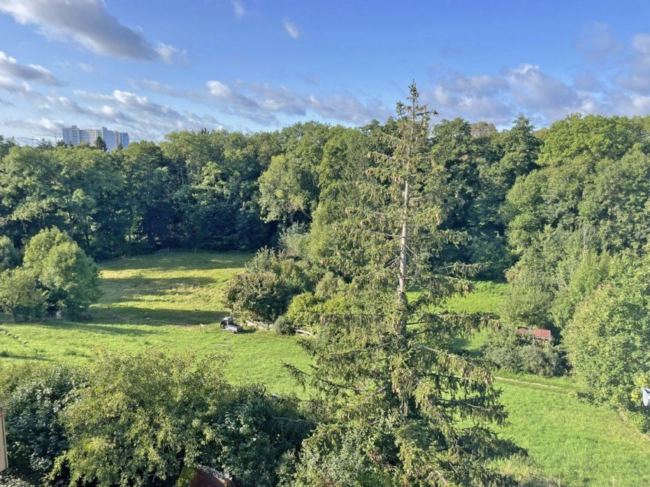 Blick vom Balkon ins K�rschtal Dachgeschosswohnung Stuttgart