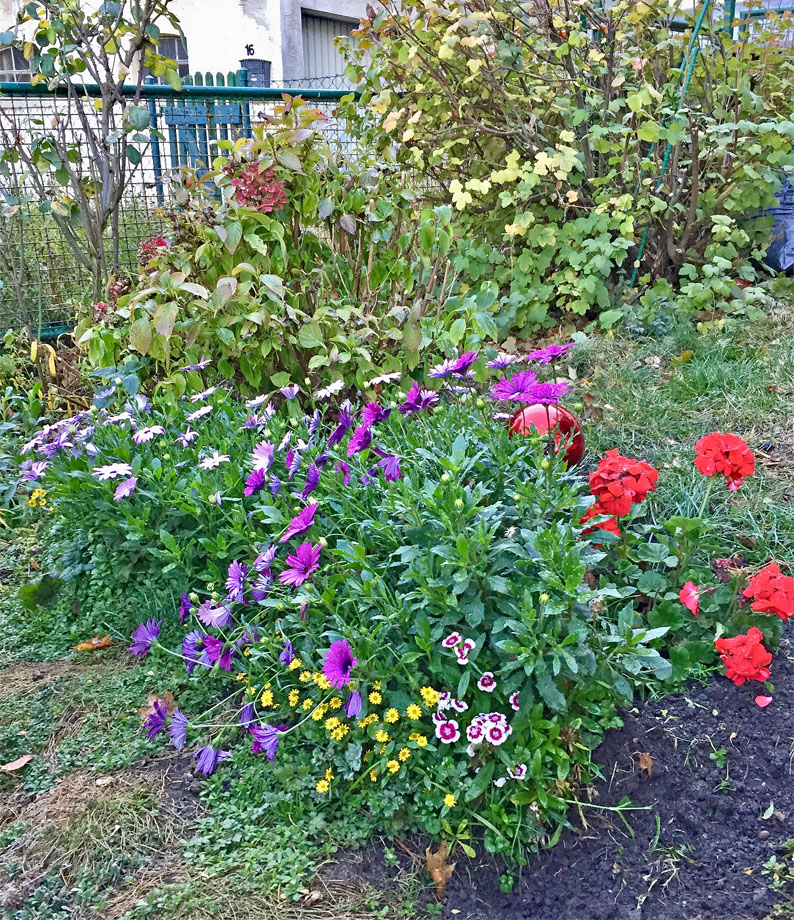 Blick in den Vorgarten Einfamilienhaus Ingersheim