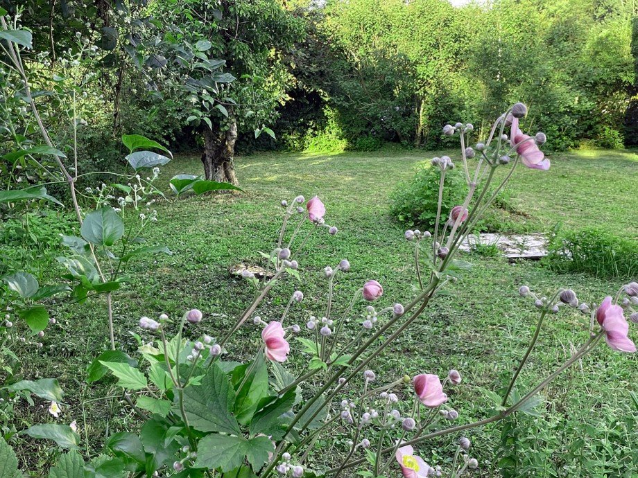 Garten Zweifamilienhaus Stuttgart