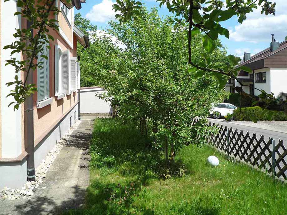 Gr�nstreifen mit Apfelb�umen Ostseite Mehrfamilienhaus Heubach