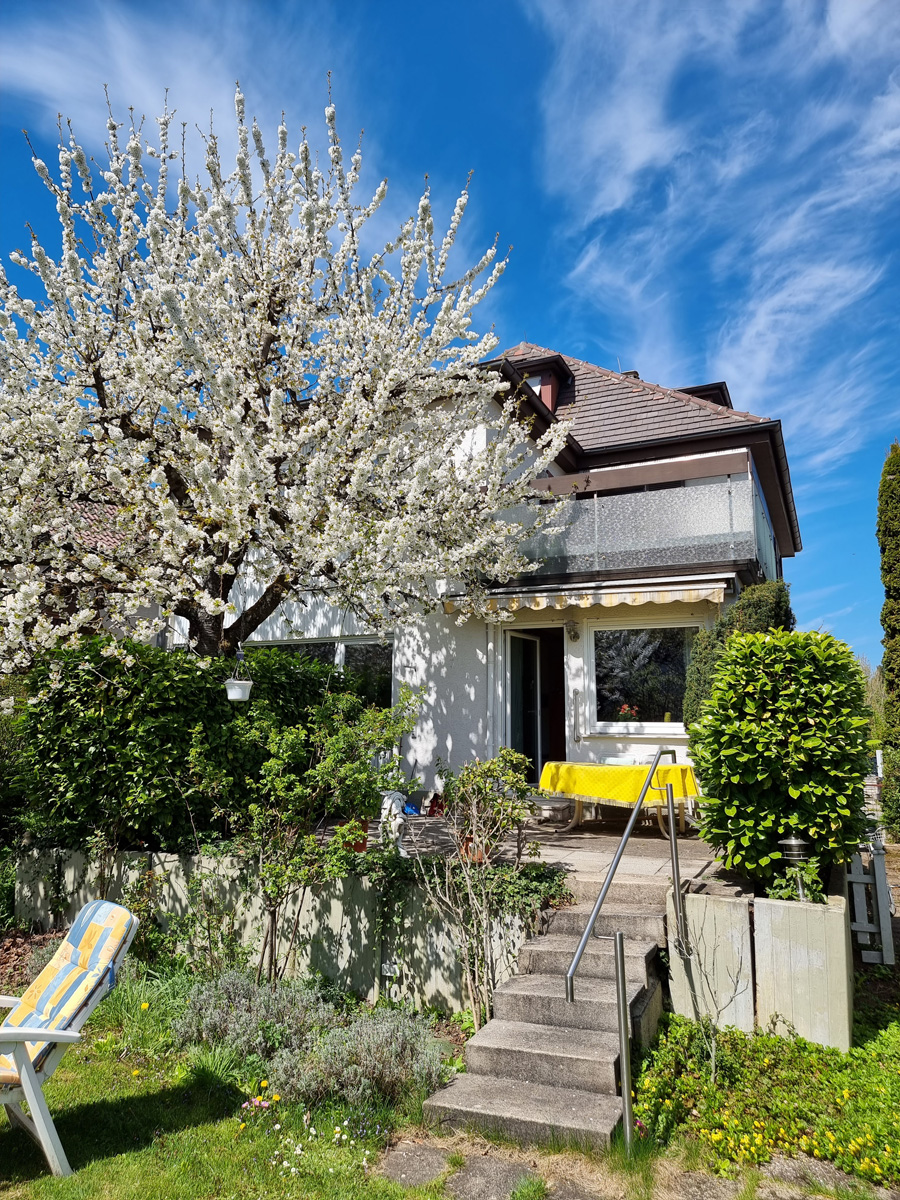 Blick vom Garten Mehrfamilienhaus Stuttgart
