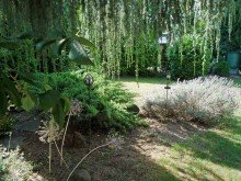 Garten Charmantes Reihenhaus in ruhiger Lage