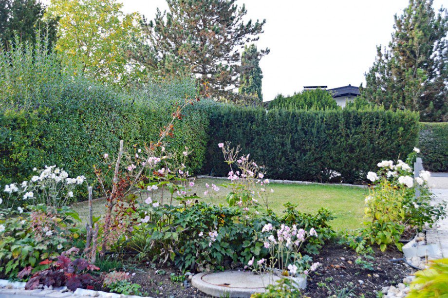 Garten Westseite Einfamilienhaus Ober-M�rlen