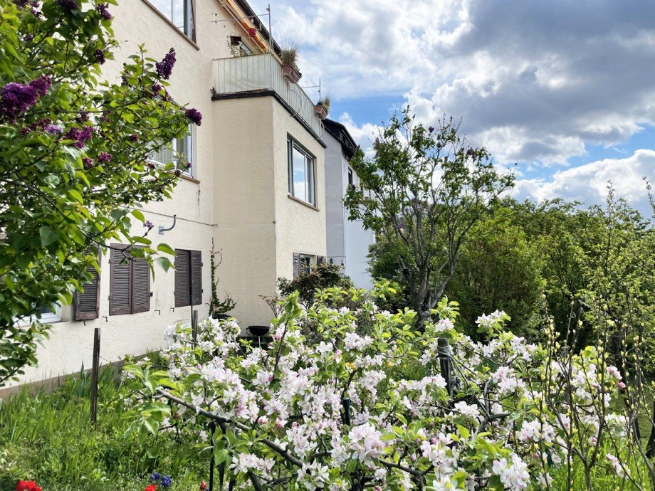 Garten S�dseite Mehrfamilienhaus Stuttgart