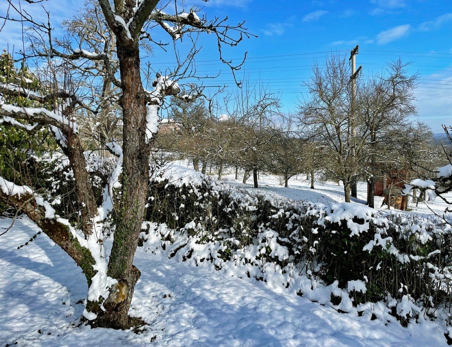 Blick vom Grundst�ck in die winterlichen Streuobstwiesen Einfamilienhaus Holzgerlingen