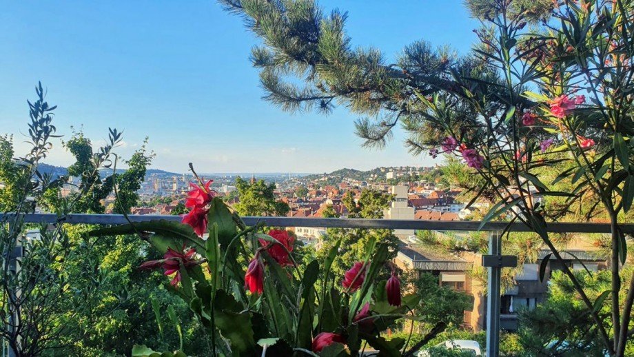 Aussicht von der Dachterrasse Doppelhaush�lfte Stuttgart